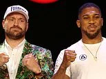 British Heavyweight Boxing Ascendant: A New Era of Rivalries and Championships